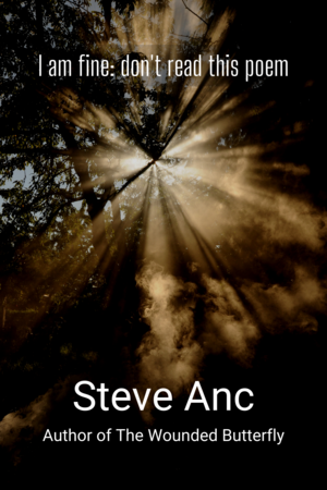 I Am Fine: Don't Read This Poem by Steve Anc