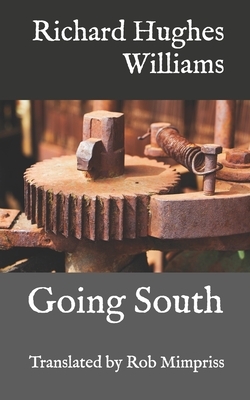 Going South: The stories of Richard Hughes Williams by Richard Hughes Williams