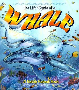 The Life Cycle of a Whale by Bobbie Kalman
