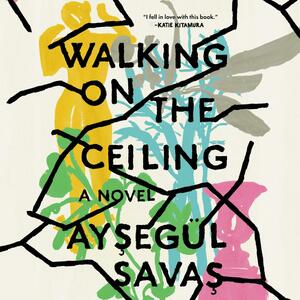 Walking on the Ceiling by Ayşegül Savaş