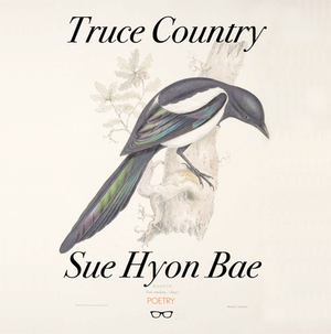 Truce Country by Sue Hyon Bae