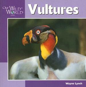 Vultures by Wayne Lynch