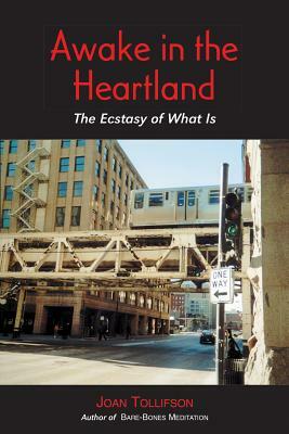 Awake in the Heartland: The Ecstasy of What Is by Joan Tollifson