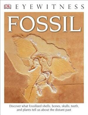 DK Eyewitness Books: Fossil by D.K. Publishing