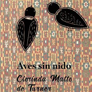 Aves sin nido by Clorinda Matto de Turner