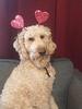 olllie_2021's profile picture