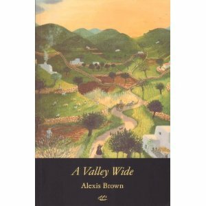A Valley Wide: An Ibiza Memoir by Alexis Brown