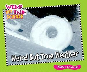 Weird But True Weather by Carmen Bredeson