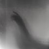 rhazelton's profile picture