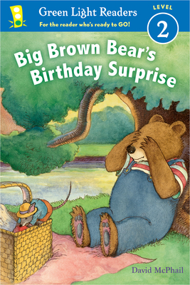 Big Brown Bear's Birthday Surprise by David McPhail