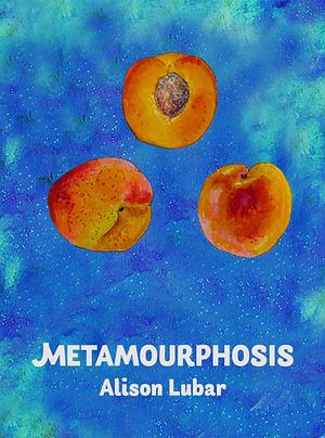 Metamourphosis by Alison Lubar