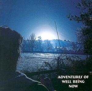 Adventures of Well Being Now by Nick Kemp