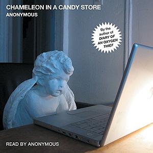 Chameleon in a Candy Store by Anonymous