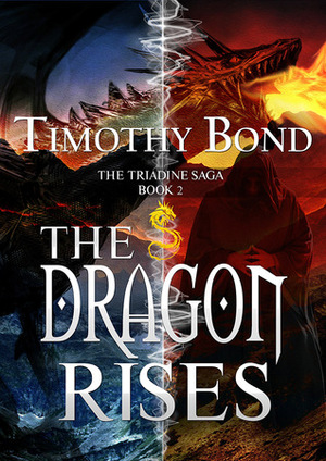 The Dragon Rises by Timothy Bond
