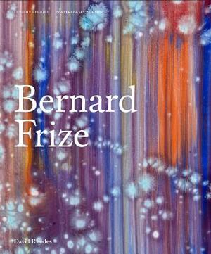 Bernard Frize by David Rhodes