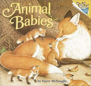 Animal Babies by Harry McNaught