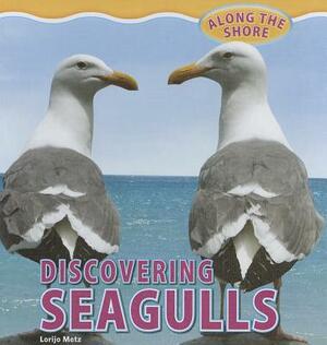 Discovering Seagulls by Lorijo Metz