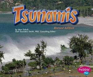 Tsunamis by Mari Schuh