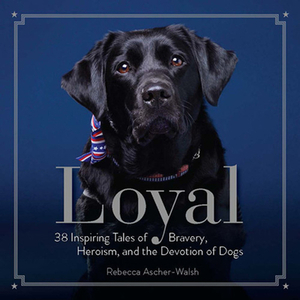 Loyal: 38 Inspiring Tales of Bravery, Heroism, and the Devotion of Dogs by Rebecca Ascher-Walsh
