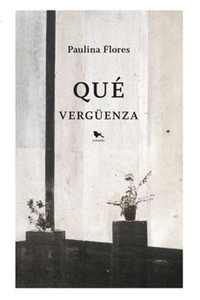 Qué vergüenza by Paulina Flores