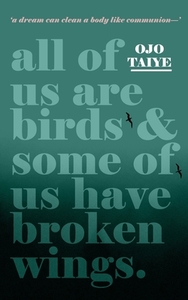 All of Us are Birds and Some of Us Have Broken Wings by Ojo Taiye