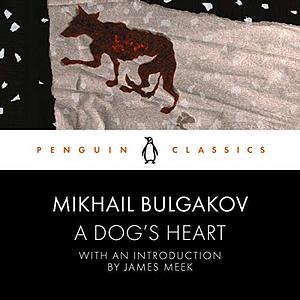 A Dog's Heart by Mikhail Bulgakov