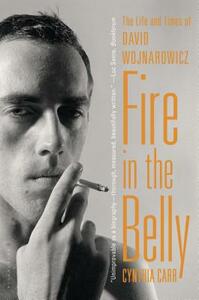 Fire in the Belly: The Life and Times of David Wojnarowicz by Cynthia Carr