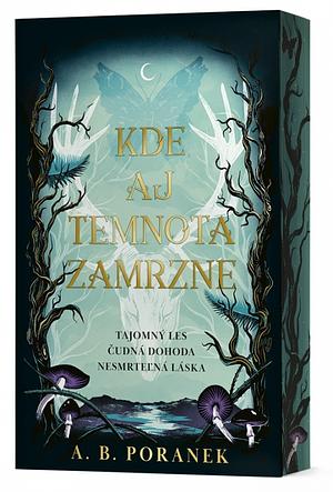 Kde aj temnota zamrzne by A.B. Poranek