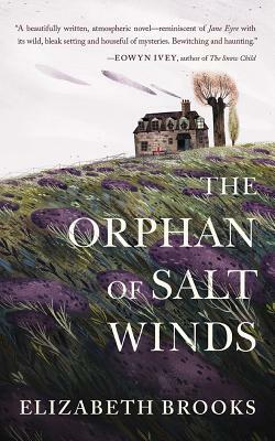 The Orphan of Salt Winds by Elizabeth Brooks