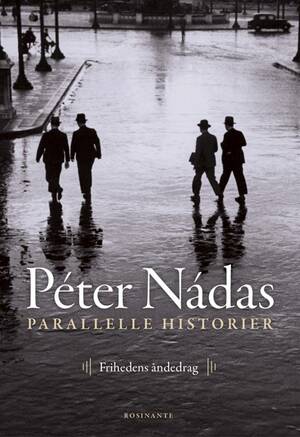 Parallelle historier 1: Den tavse provins by Péter Nádas