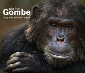 Tales from Gombe by Fiona Rogers, Anup Shah