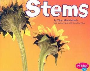 Stems by Vijaya Bodach