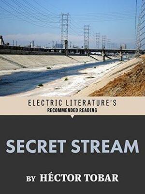 Secret Stream by Héctor Tobar, Oscar Villalon