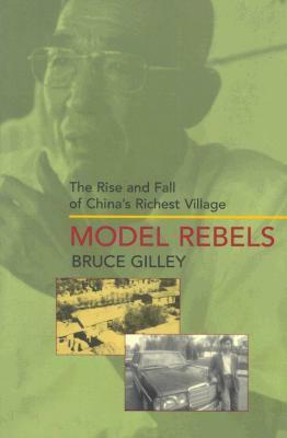 Model Rebels: The Rise and Fall of China's Richest Village by Bruce Gilley