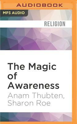 The Magic of Awareness by Anam Thubten, Sharon Roe