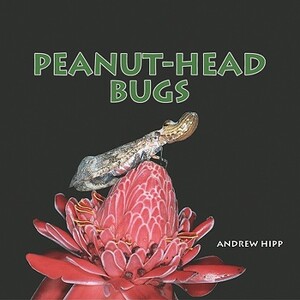 Peanut-Head Bugs by Andrew Hipp