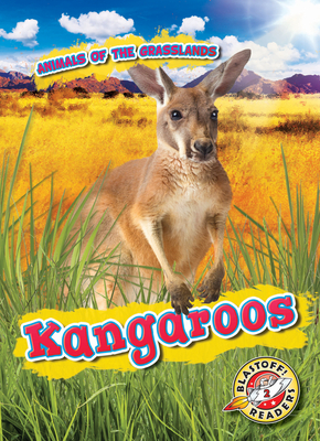 Kangaroos by Kaitlyn Duling