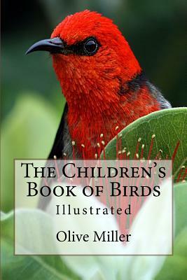 The Children's Book of Birds: Illustrated by Olive Thorne Miller