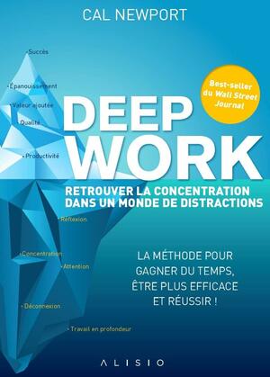 Deep work : retrouver la concentration dans un monde de distractions: La méthode pour gagner du temps, être plus efficace et réussir by Cal Newport