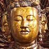 bodhishevikbolsattva's profile picture