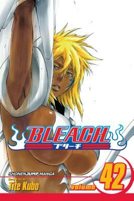 Bleach, Volume 42 by Tite Kubo