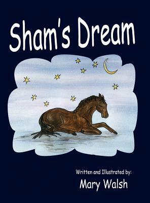 Sham's Dream by Mary Walsh