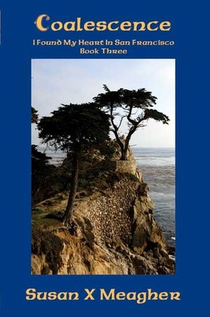 Coalescence by Susan X. Meagher