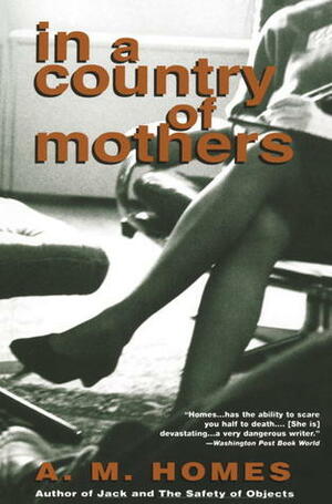 In a Country of Mothers by A.M. Homes