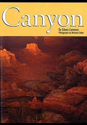 Canyon by Eileen Cameron