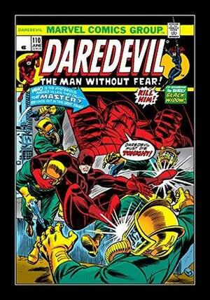 Daredevil (1964-1998) #110 by Steve Gerber