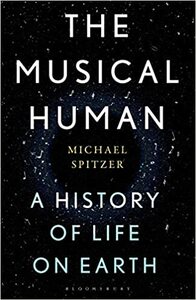 The Musical Human: A History of Life on Earth by Michael Spitzer