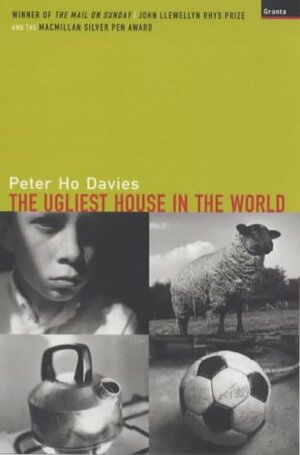 The Ugliest House in the World by Peter Ho Davies