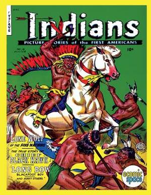 Indians #16 by Fiction House