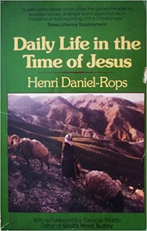 Dagligt liv i Palestina på Jesu tid by Henri Daniel-Rops